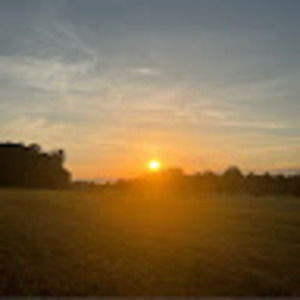 Meet your Posher, Sonja